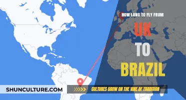 UK to Brazil Flight Duration: What to Expect in the Air