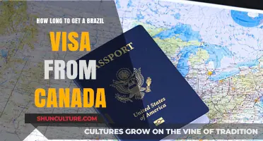 Brazil Visa Processing Time for Canadian Applicants: What to Expect