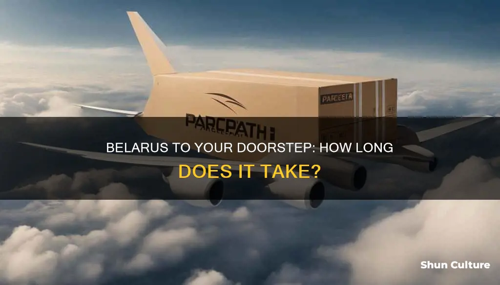 how long to get a package from belarus