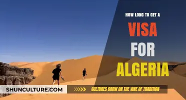 Algeria Visa Processing Time: What to Expect for Your Application