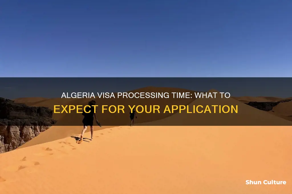 how long to get a visa for algeria