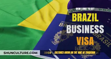 Brazil Business Visa Processing Time: What to Expect and How to Apply