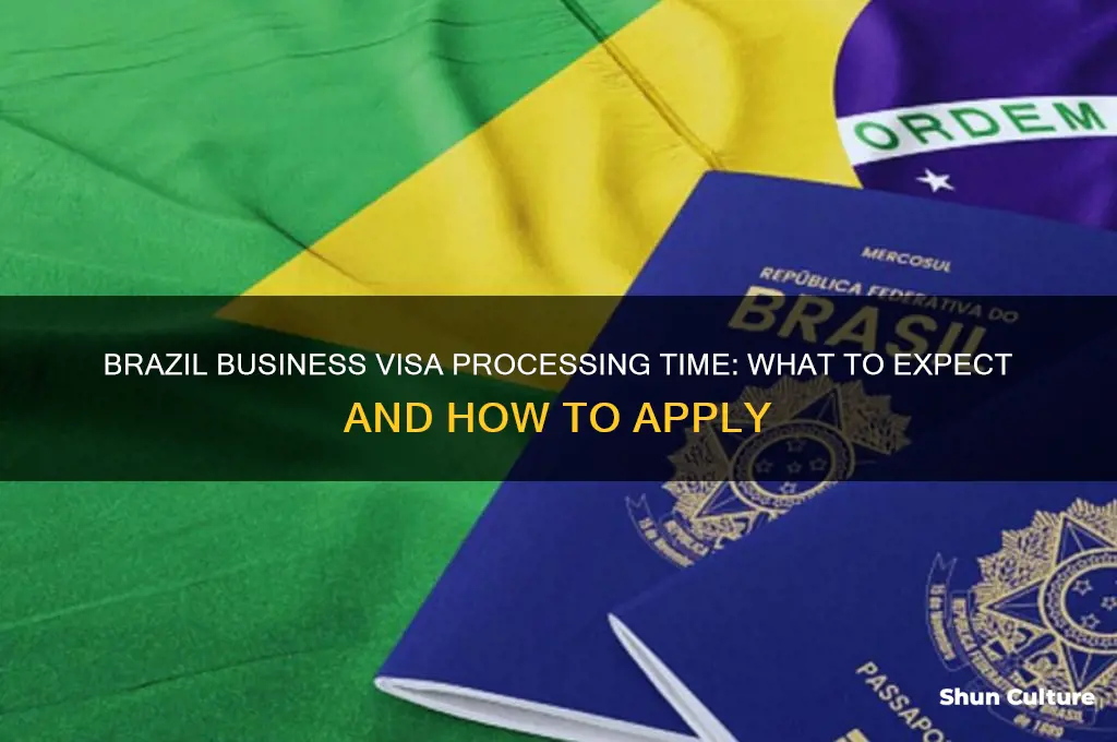 how long to get brazil business visa