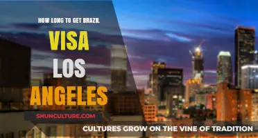 Brazil Visa Processing Time: Los Angeles Application Guide and Duration