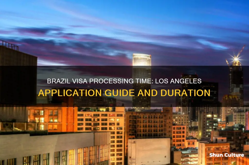 how long to get brazil visa los angeles