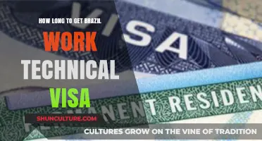 Brazil Work Technical Visa Processing Time: What to Expect