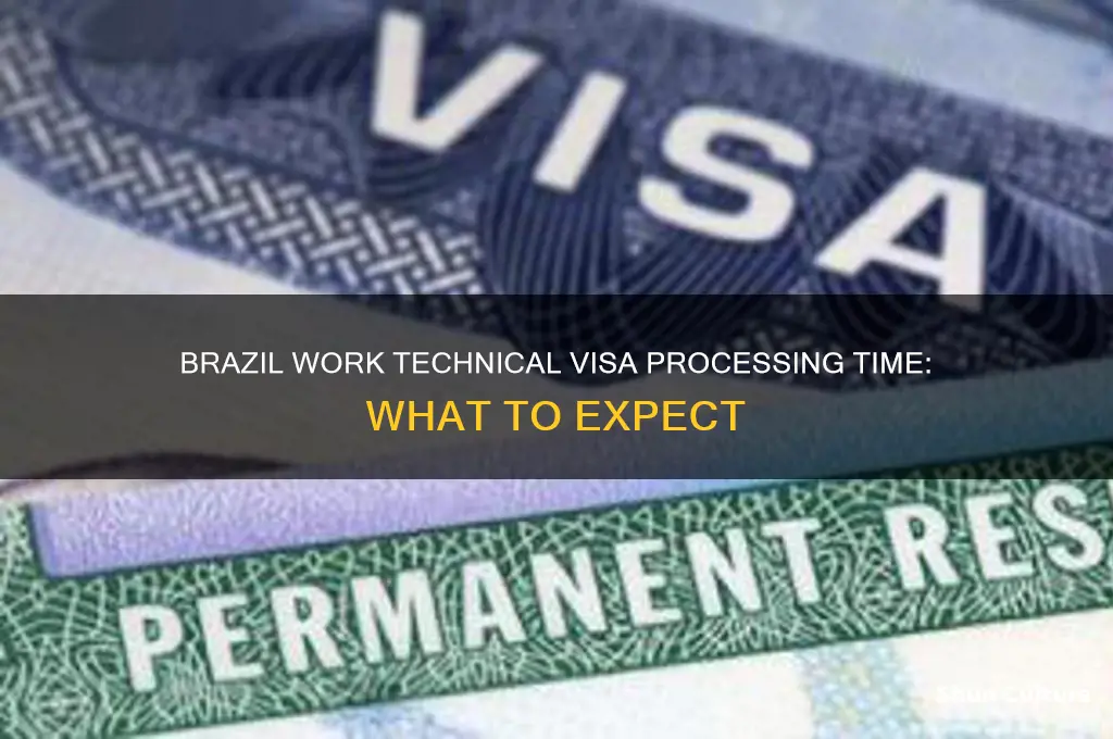 how long to get brazil work technical visa