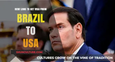 Brazil to USA Visa Processing Time: What to Expect