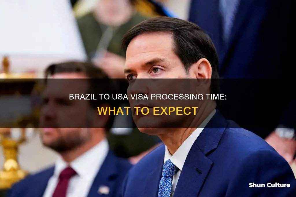 how long to get visa from brazil to usa