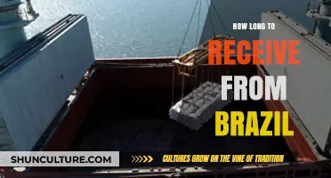 Shipping from Brazil: Understanding Delivery Times and Factors Affecting Arrival