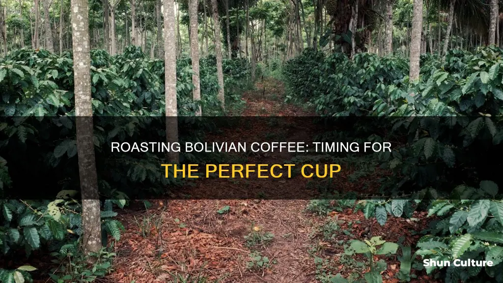 how long to roast bolivian coffee