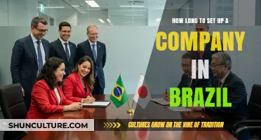 Setting Up a Company in Brazil: Timelines and Key Steps