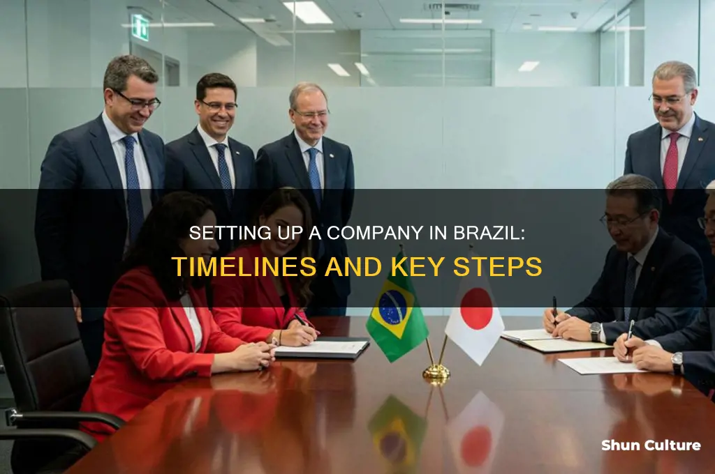 how long to set up a company in brazil