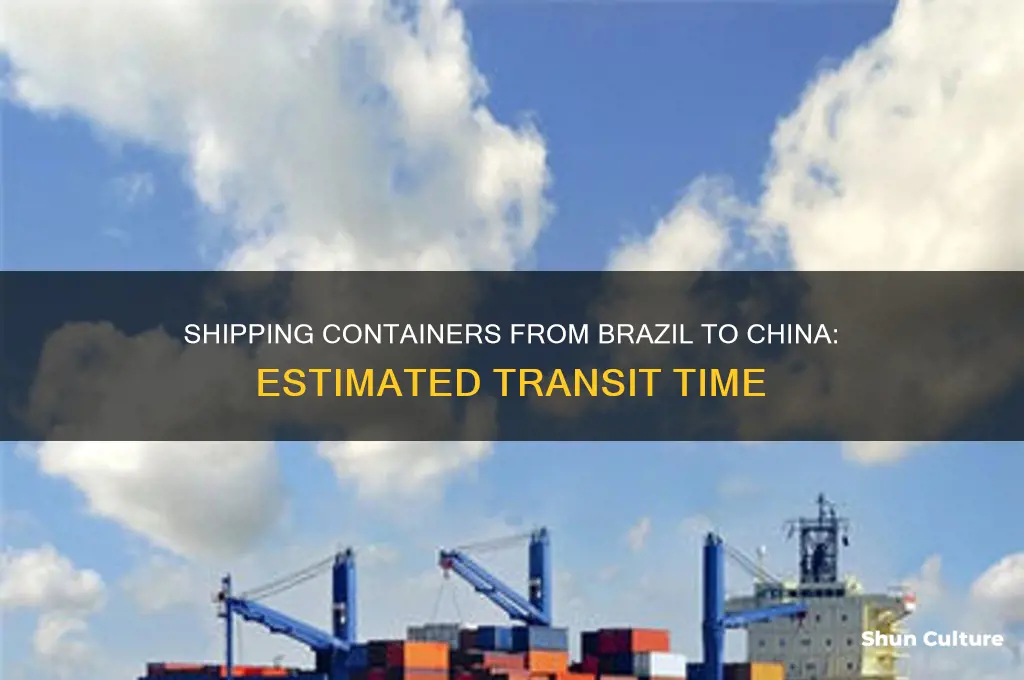 how long to ship container from brazil to china