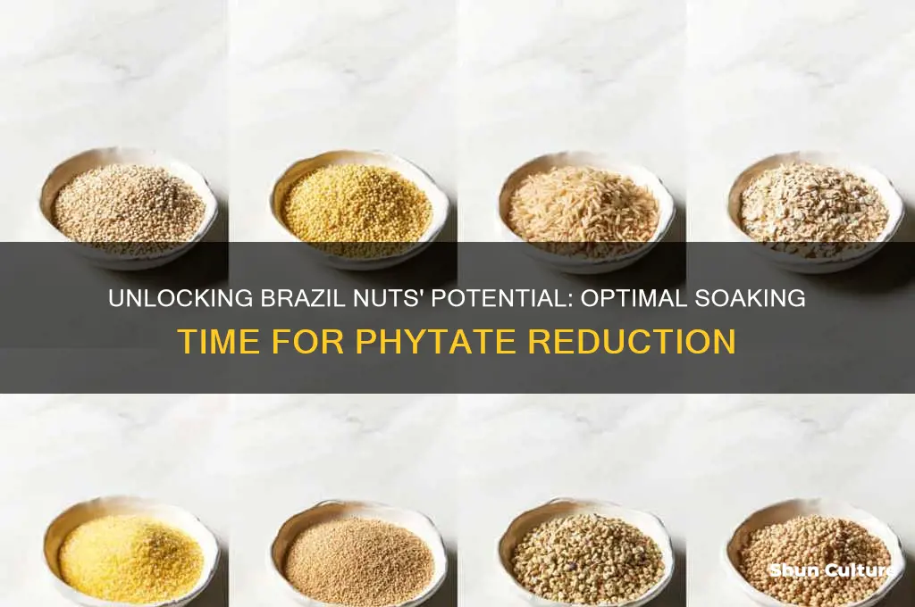 how long to soak brazil nuts to remove phytates
