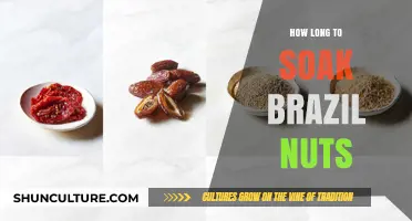 Perfect Soaking Time for Brazil Nuts: A Simple Guide