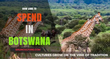 Exploring Botswana: Ideal Duration for an Unforgettable Safari Adventure