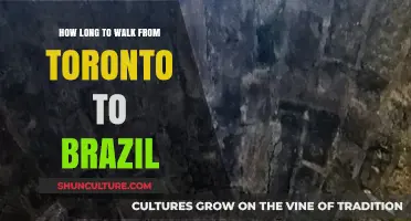 Walking from Toronto to Brazil: Estimating the Journey's Duration