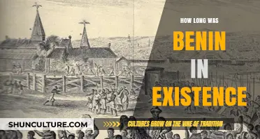 Exploring the Rich History and Timeline of Benin's Existence