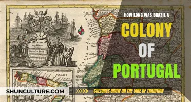 Brazil's Colonial Era: How Long Was It Under Portugal's Rule?