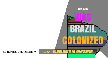 Brazil's Colonial Era: Duration and Historical Impact Explained