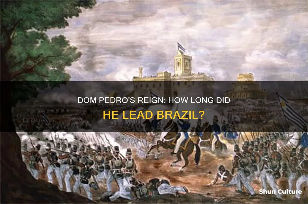 how long was dom.pedro in charge of brazil