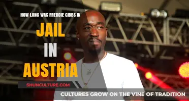 Freddie Gibbs' Austrian Jail Time: Unraveling the Mystery