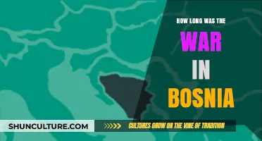 The Length and Impact of Bosnia's Devastating War Explained