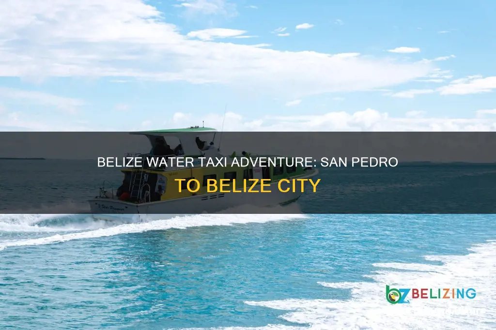 how long water taxi from belize city to san pedro