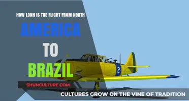 North America to Brazil Flight Duration: What to Expect