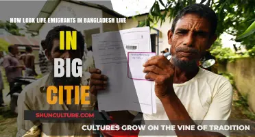 Urban Struggles: Life of Bangladeshi Emigrants in Big Cities