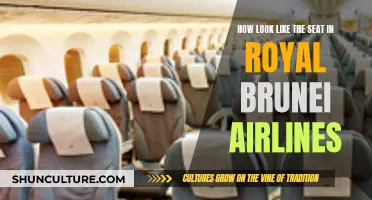 Experience Royal Brunei Airlines' Luxurious Seats