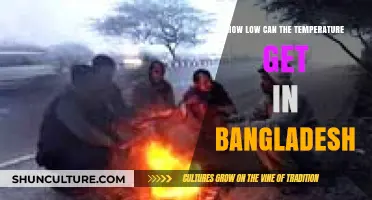 Bangladesh's Coldest Temperatures: Exploring the Limits of Winter's Chill