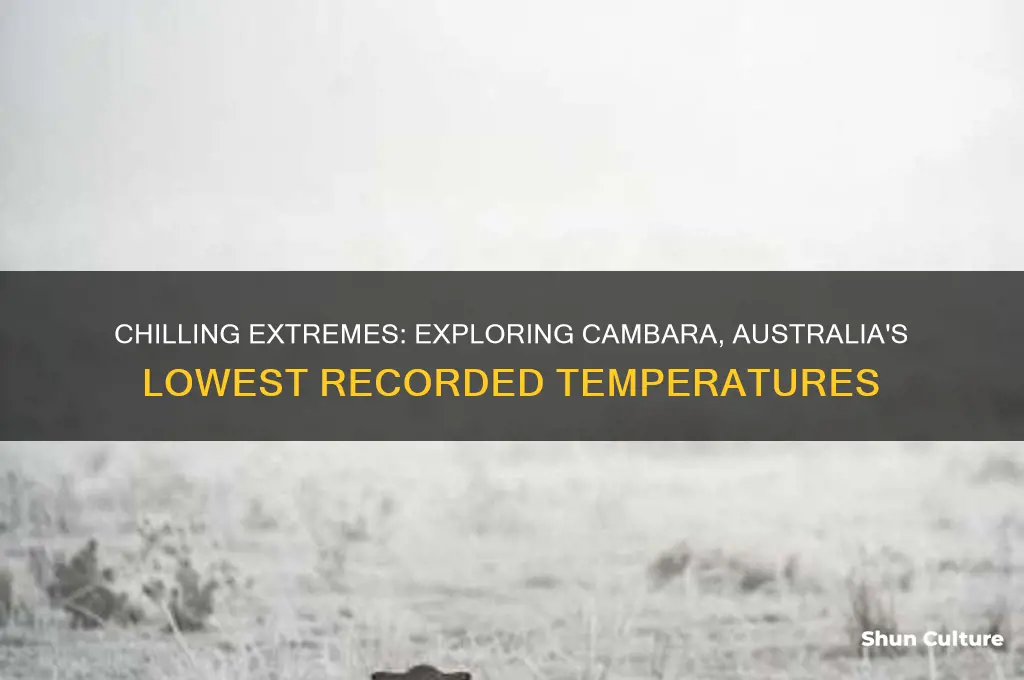 how low does the temperature go in cambara australia