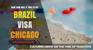 How Long Does It Take to Get a Brazil Visa in Chicago?