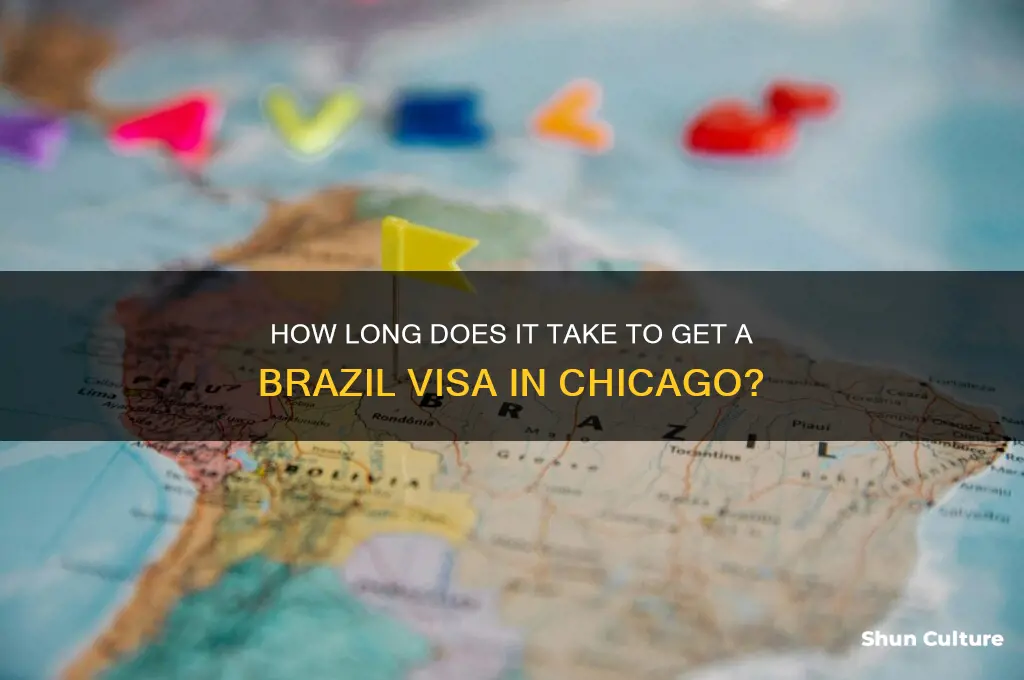 how lung will it take to get brazil visa chicago