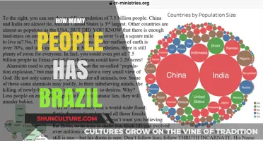 Brazil's Population: Unveiling the Surprising Number of People in the Country