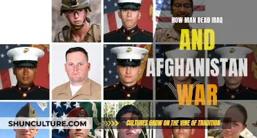 The Human Cost of War: Fallen Heroes in Iraq and Afghanistan