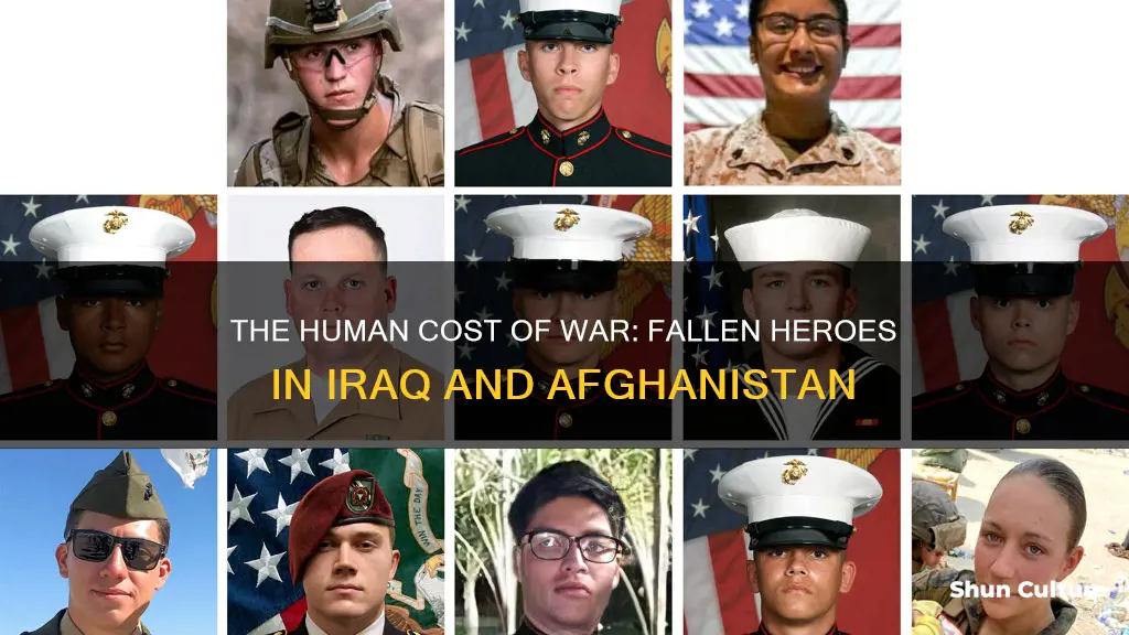 how man dead iraq and afghanistan war