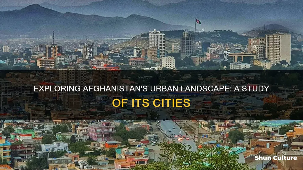 how manay cities are in afghanistan