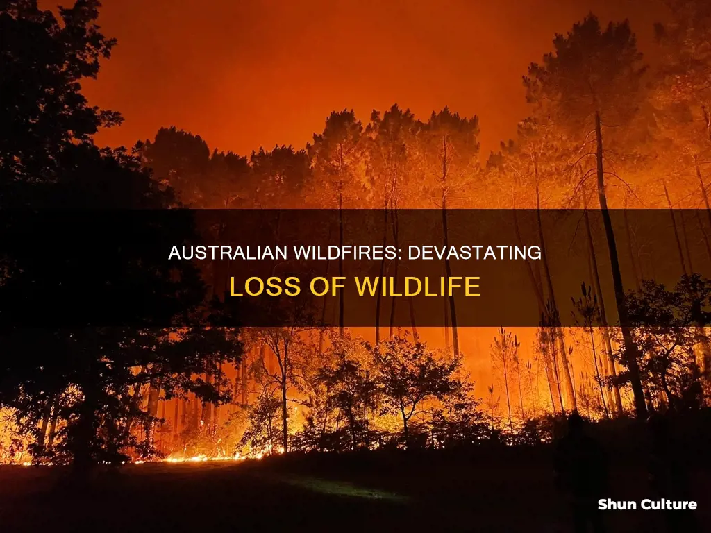how mant animals have died in the australian wildfires