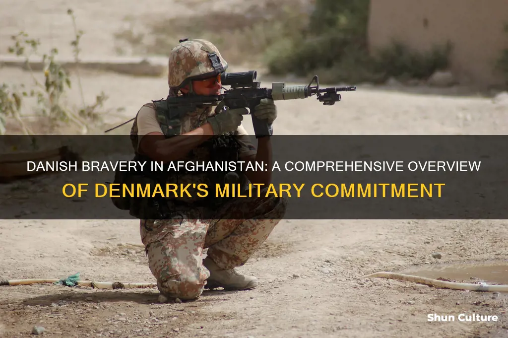 how mant danish soldiers in afghanistan