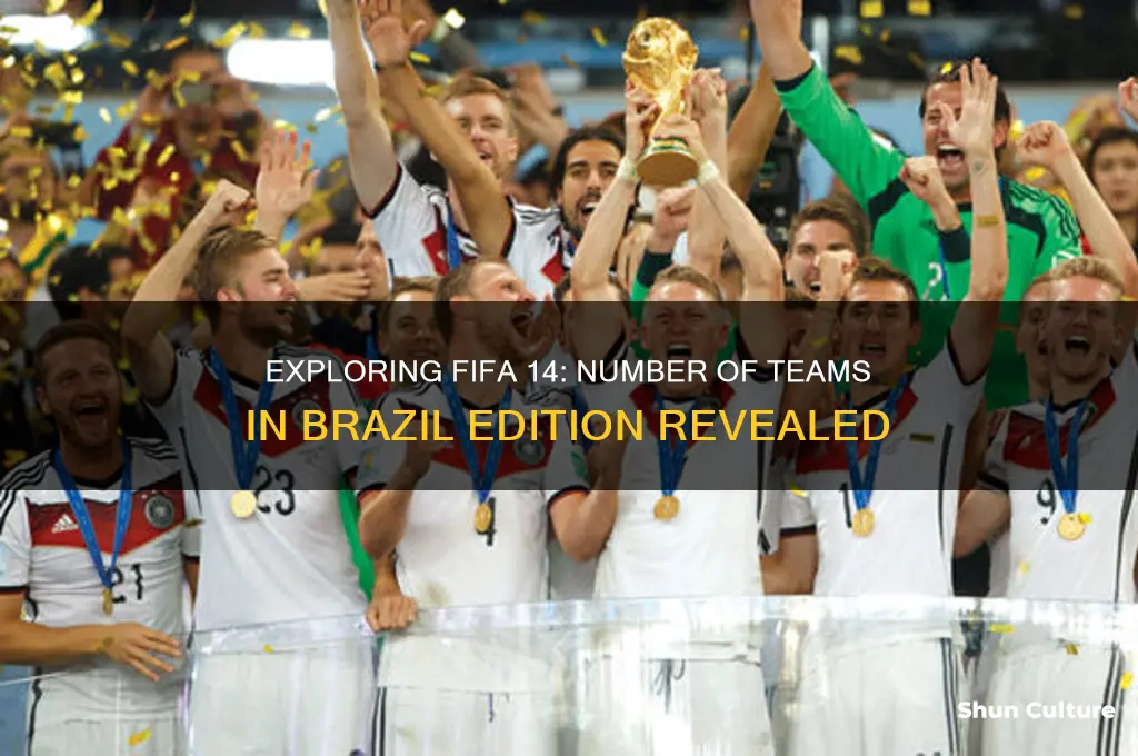 how mant teams in fifa 14 brazil