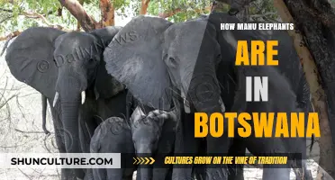 Botswana's Elephant Population: A Comprehensive Look at Their Numbers