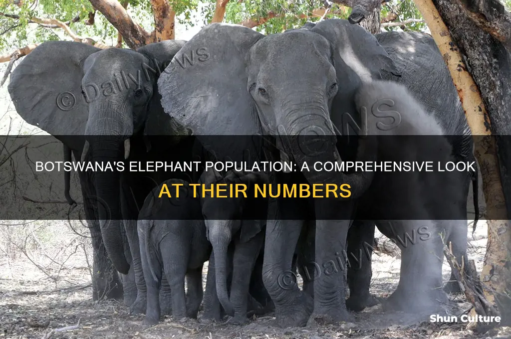 how manu elephants are in botswana