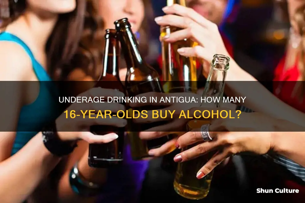 how many 16 year olds buy alcohol in antigua