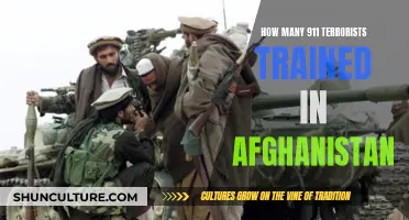 The Afghanistan Connection: Unraveling the 9/11 Terrorists' Training Grounds