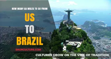 AA Miles Guide: US to Brazil Flight Redemption Costs