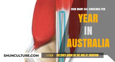 Annual ACL Surgery Rates in Australia: Trends and Insights