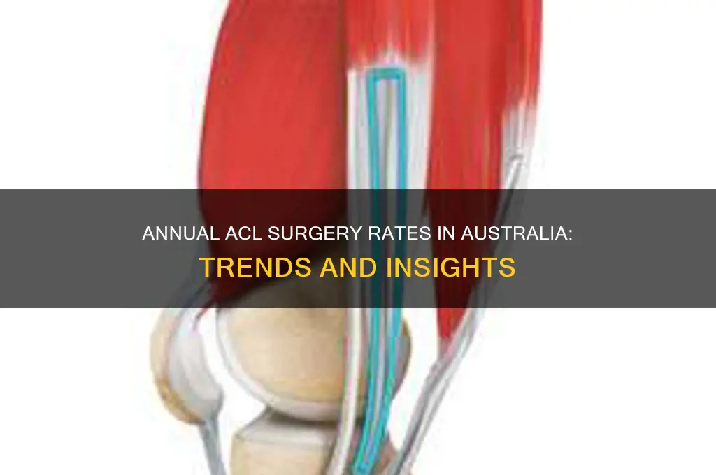 how many acl surgeries per year in australia